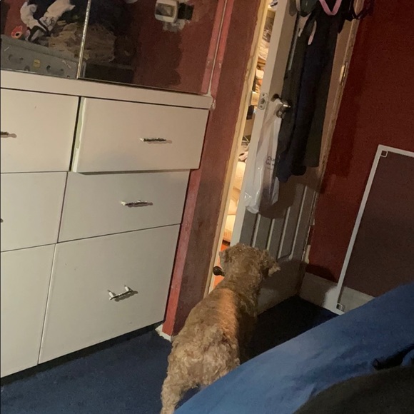 Meet your Posher, Joseph - Picture 1 of 1